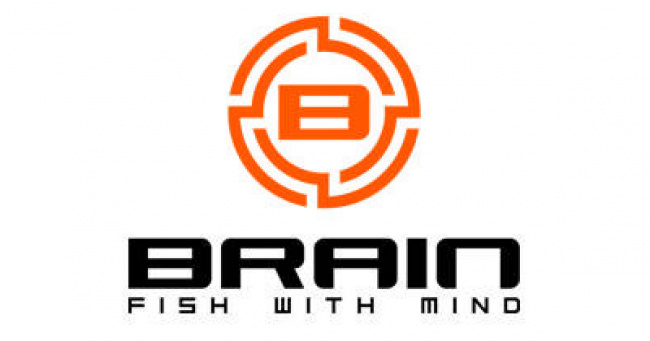 Катушки Brain