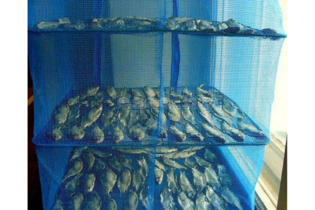 Сушилка для рыбы FLAGMAN Drying 3 секции 45х65см - фото2