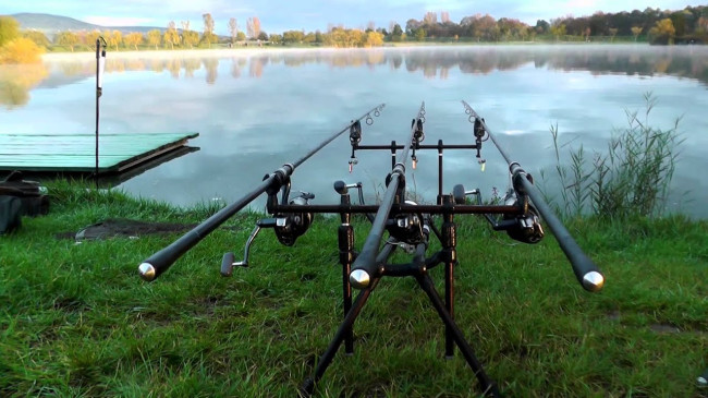 Карповая ловля